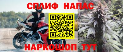 гидра Дубна